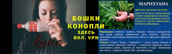мет Ладушкин